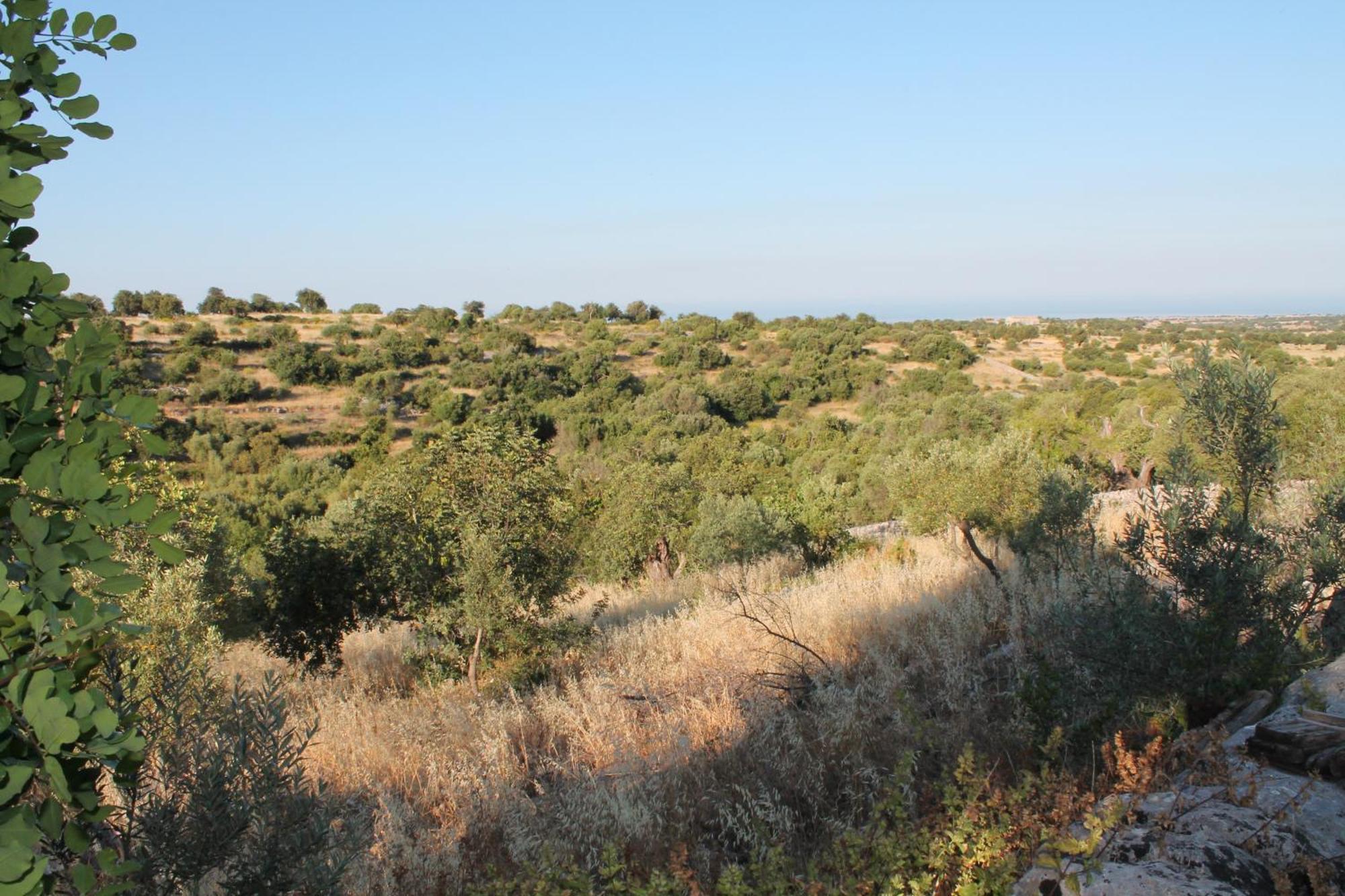 Tenuta Zannafondo Donnafugata Extérieur photo